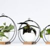 Plant Hanger (Dark & Stormy) | Small - Image 2