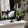 Wishbone - Image 2