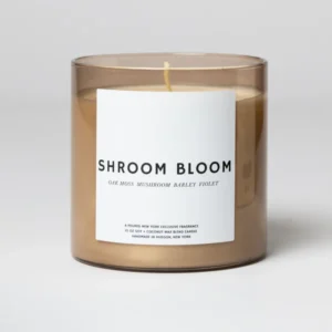 Shroom Bloom