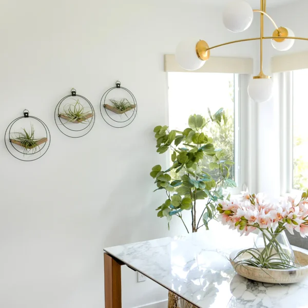 Air plant V-Hanger | Mixed metal - Image 2