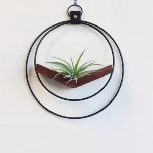Air plant V-Hanger | Dark & Stormy