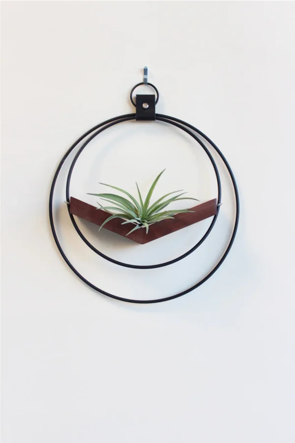 Air plant V-Hanger | Dark & Stormy