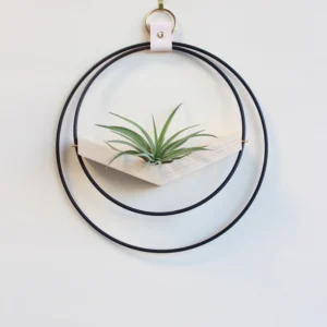Air plant V-Hanger | Mixed metal